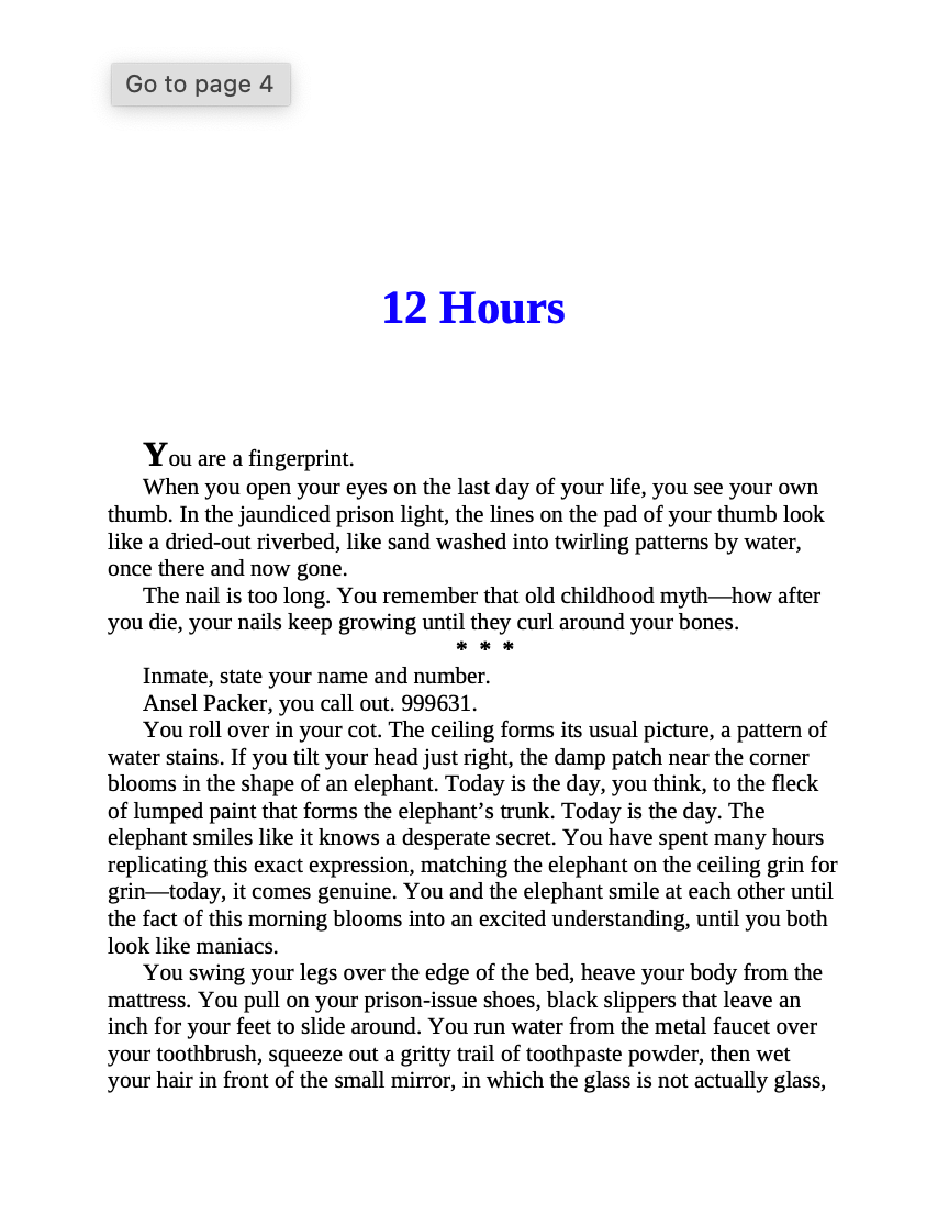 Notes on an Execution