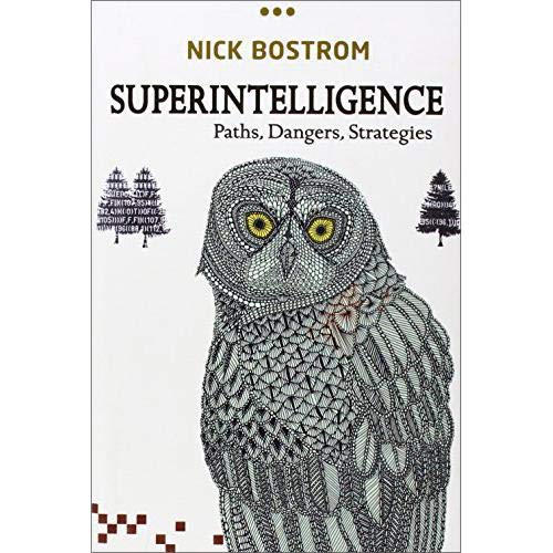 Superintelligence: Paths, Dangers, Strategies