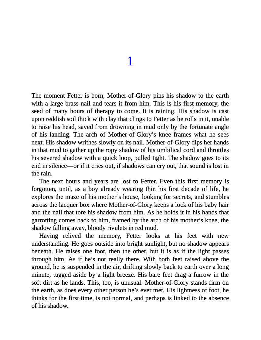 The Saint of Bright Doors