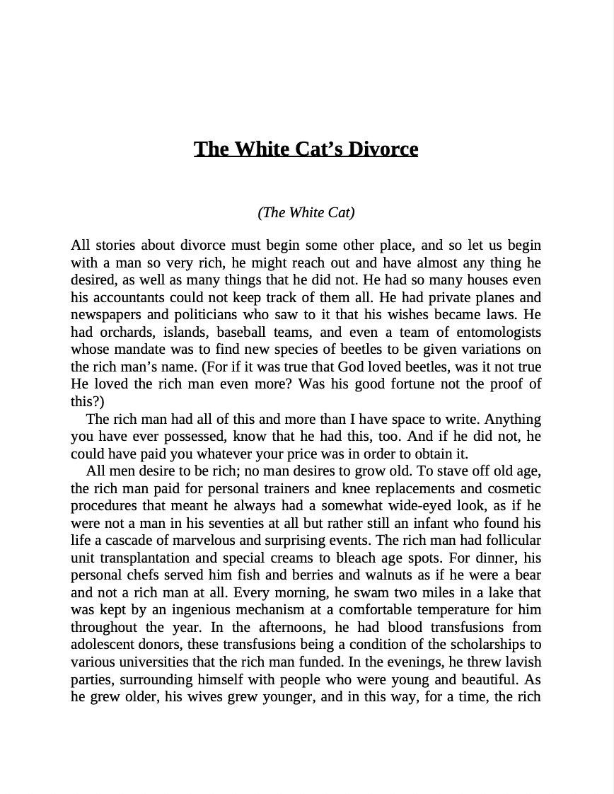 White Cat, Black Dog
