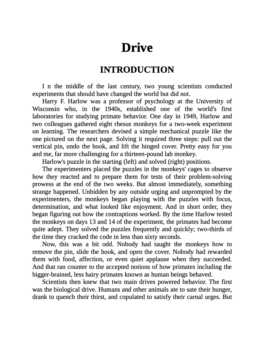 Drive: The Surprising Truth About What Motivates Us