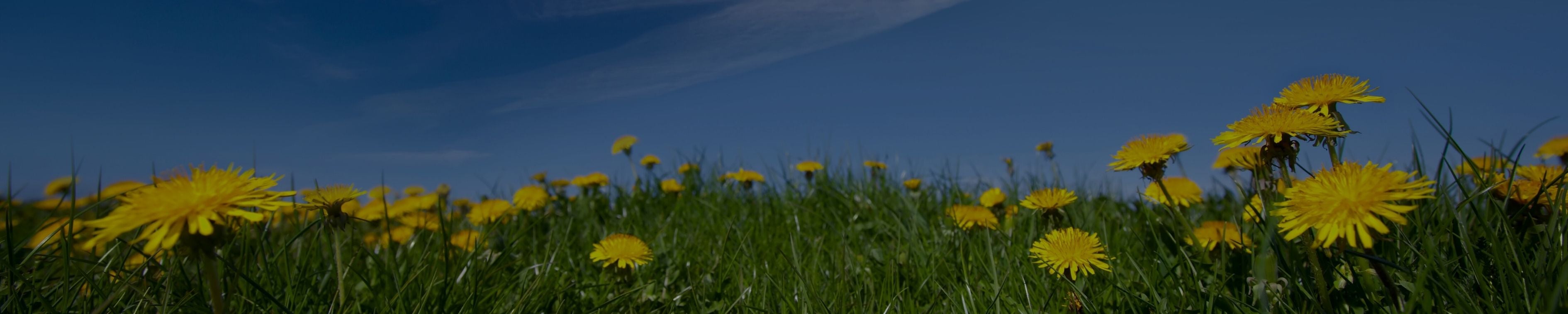 GOOD E-BOOKS - MARCH 2026 WEBSITE BRANDING