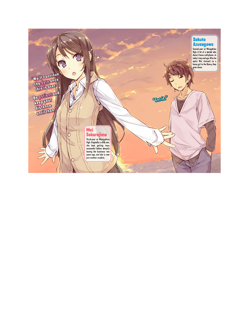 Rascal Does Not Dream of Bunny Girl-senpai