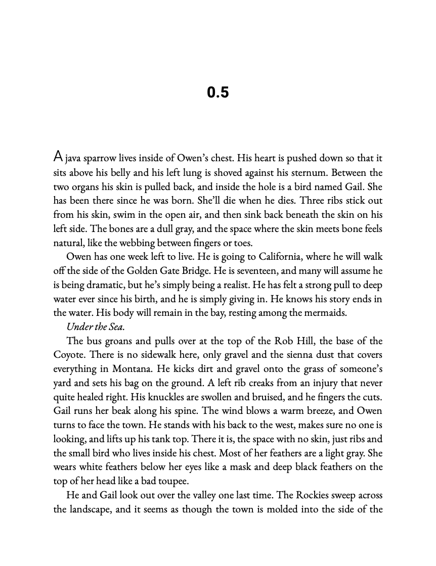 The Boy with a Bird in His Chest