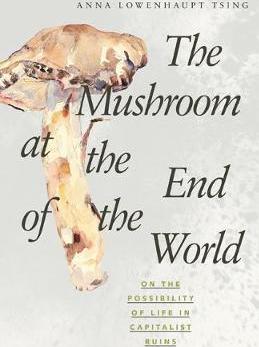 The Mushroom at the End of the World
