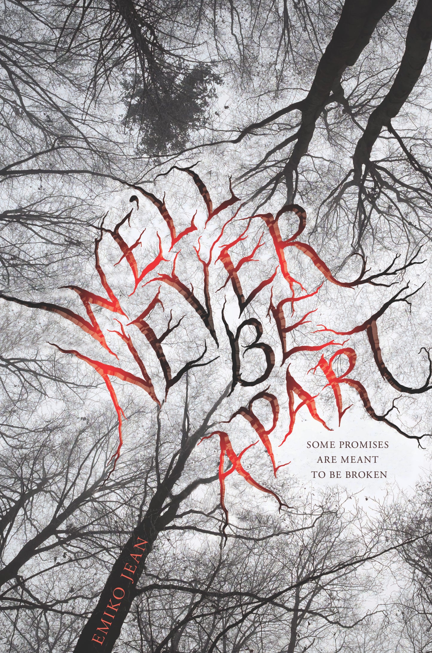 We'll Never be Apart